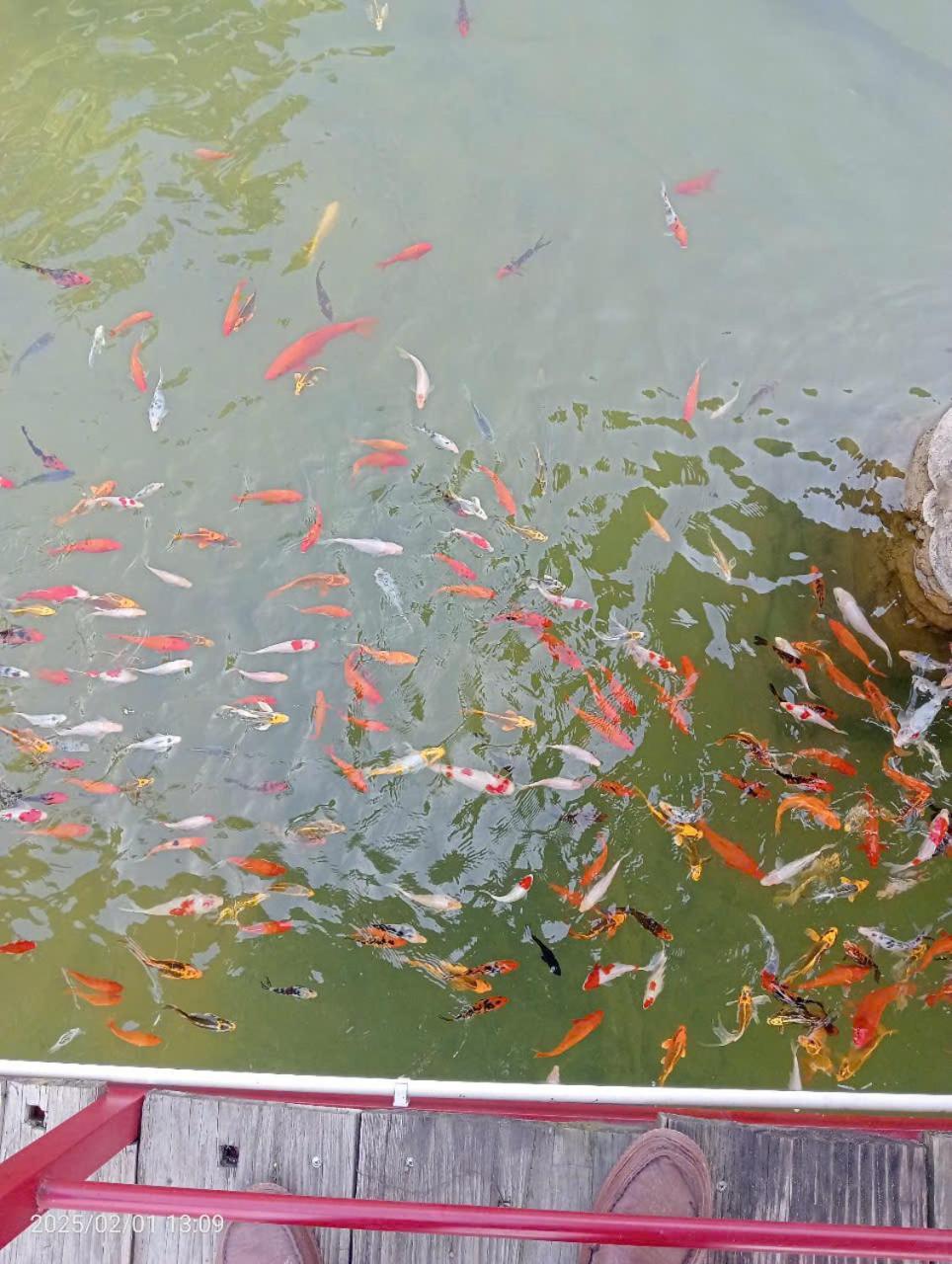 Homestay Suoi Khoang Minh Hang Yen Bai Екстер'єр фото